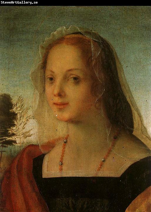 Rosso Fiorentino Portrait of a Young Woman